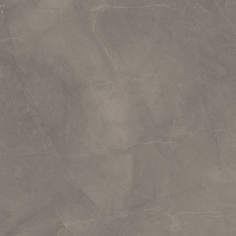 Керамогранит Splash Grey серый Сатинированный Карвинг 60x60 фото 1