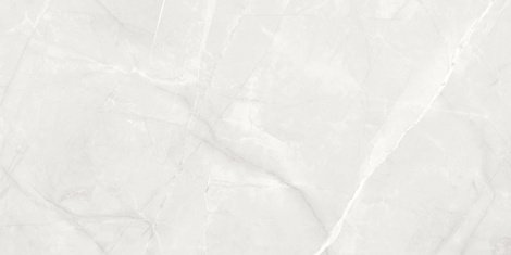Керамогранит Timeless Pearl светло-серый 59,5x119,1 фото 1