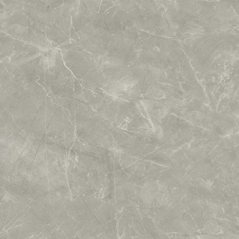 Керамогранит Wolf Grey Сатинированный 80x80 фото 1