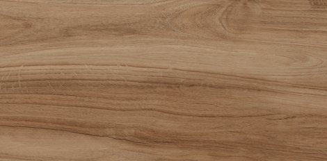 Керамогранит Шварц натуральный 30x60 фото 1