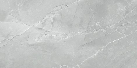 Керамогранит Armani Marble Gray полированный 60x120 фото 1
