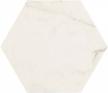 Керамогранит Allmarble Altissimo 18,2x21