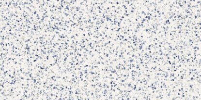 Керамогранит Frammento Macro Azzurro 60x120