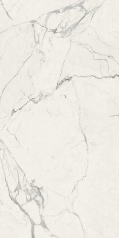 Декор Grande Marble Look Statuario Rett Book Match A 120x240