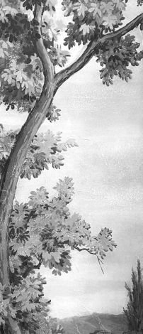 Декор Grande Resin Look Grisaille B Bianco 120x278