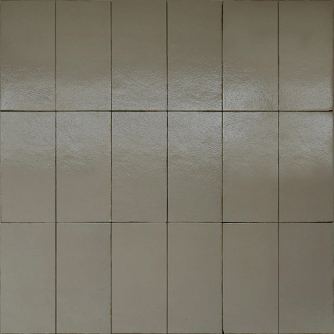 Керамогранит Terramater Muschio Lux 18,6x37,5