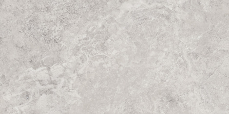 Керамогранит Mythology Regia Silver brushed ret 60x120