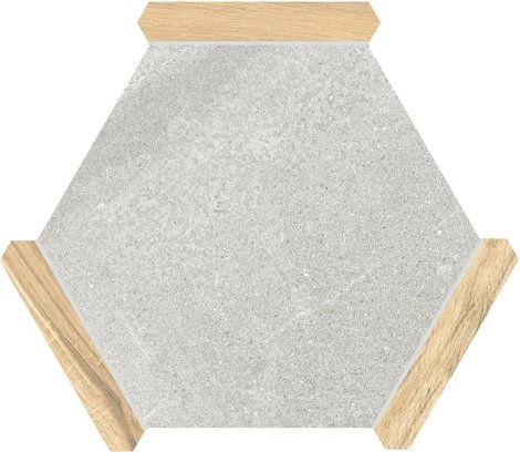 Керамогранит Sacramento Ceniza Pino 22x25