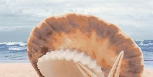 Декор Аликанте Жемчужина на море Верх 25x50