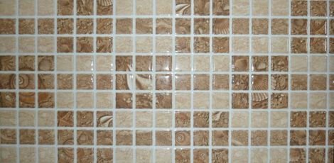 Декор Аликанте мозаика Ракушки 25x50