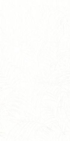 Плитка Фёрнс белый 30x60