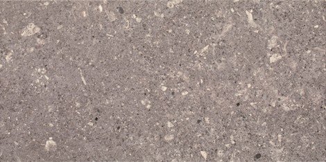 Плитка Aragorn Grys 30x60
