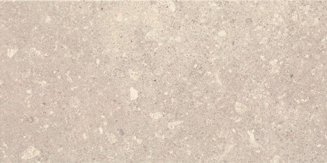 Плитка Aragorn Light Grys 30x60