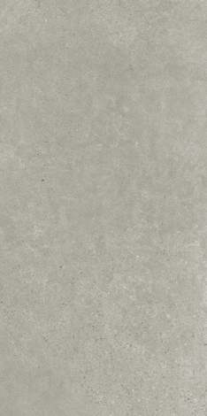Керамогранит Bergdust Grey rect mat 59,8x119,8 фото 1