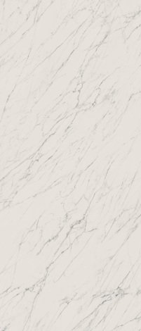 Керамогранит Elite White Rect Soft 119,8x279,8 фото 1