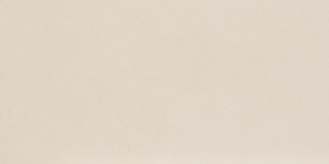 Керамогранит Intero bianco Rect mat 29,8x59,8