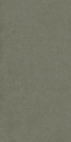 Керамогранит Intero Olive Rect mat 59,8x119,8