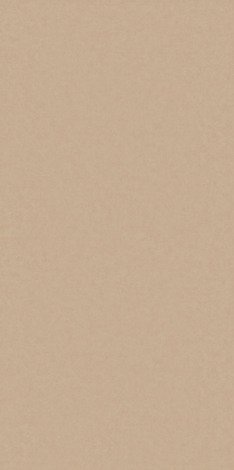 Керамогранит Intero sabbia Rect mat 59,8x119,8