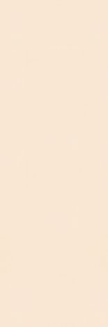 Плитка Neve Creative Beige Mat 29,8x89,8