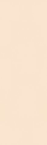 Плитка Neve Creative Beige Polysk 29,8x89,8
