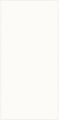 Плитка Neve Creative Bianco Polysk 9,8x19,8