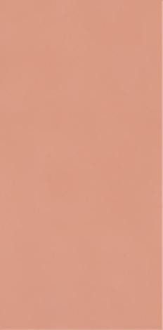 Плитка Neve Creative Blush Polysk 9,8x19,8