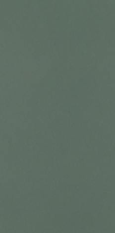 Плитка Neve Creative Dark Green Mat 9,8x19,8