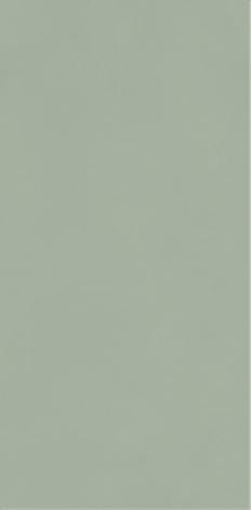 Плитка Neve Creative Green Polysk 9,8x19,8