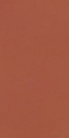Плитка Neve Creative Terracotta Mat 9,8x19,8