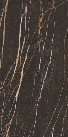 Керамогранит Pleasure Brown Rect Matt 59,8x119,8 фото 1