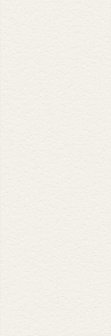 Плитка Pure Cathedral White struktura D mat rect 39,8x119,8