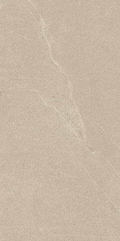Плитка U118 Beige rect mat 29,8x59,8
