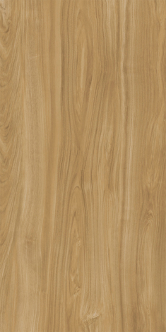 Керамогранит Ewood Camel Nat 120x270
