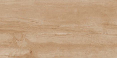 Керамогранит Paint Wood Bone Gloss 60x120 фото 1