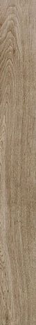 Керамогранит Selection Oak Amber 20x180