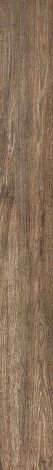 Керамогранит Selection Oak Brown 20x180