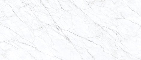 Керамогранит Carrara Twig 120x278