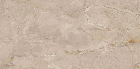 Керамогранит Fenso Rivera camel 60x120