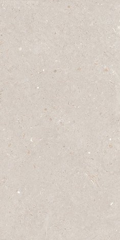 Керамогранит Fossil Barley StrongX Matt 59,8x119,8
