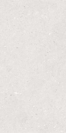 Керамогранит Fossil Bianco StrongX Matt 59,8x119,8