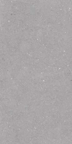 Керамогранит Fossil Grey StrongX Matt 59,8x119,8
