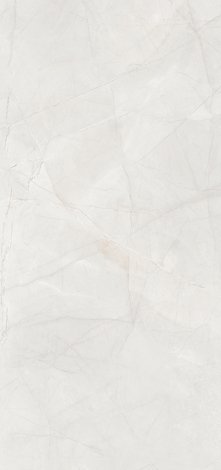 Керамогранит Prozzo Rejoice 1165 60x120