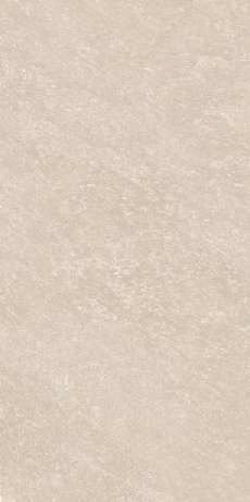 Керамогранит Quartzite Mud StrongX Matt 59,8x119,8