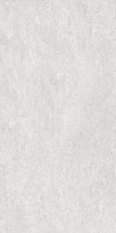 Керамогранит Quartzite Silver StrongX Matt 59,8x119,8