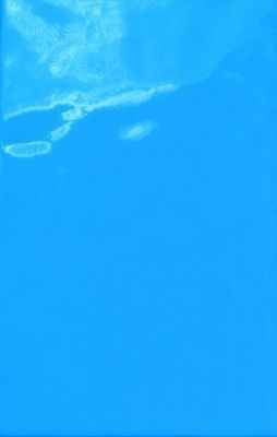 Плитка Универсальная синяя 20x33 A8