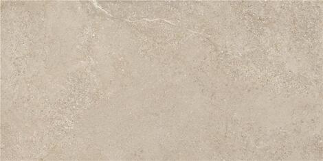 Керамогранит Arenite Natural mt rect 60x120