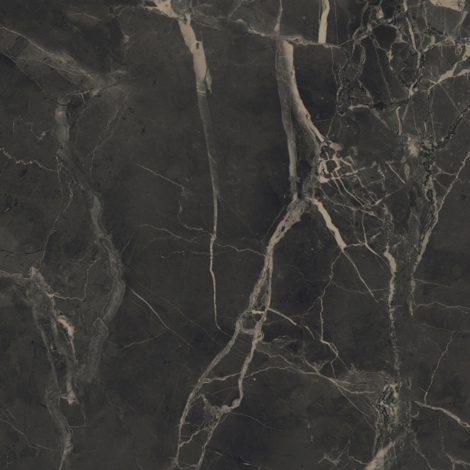 Керамогранит Purity of Marble Supreme Dark Lux Rett 120x120