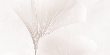 Декор Albiano Leaves Left D 59,8x119,8