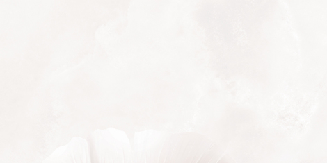 Декор Albiano Leaves Left E 59,8x119,8