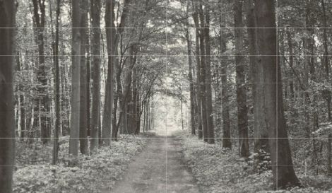 Панно All In White 1 209,8x359,8